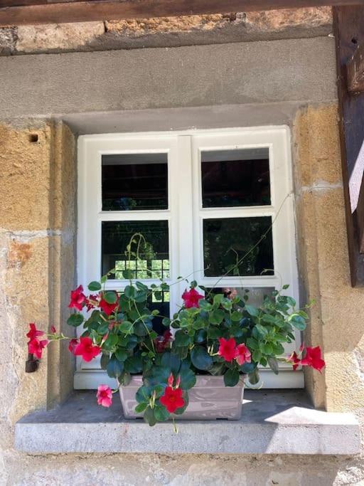 Vakantiehuis La Poire, Op Landgoed Aan De Dordogne Prudhomat 外观 照片